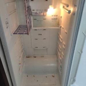 10 dicas para limpar do seu frigorifico de forma profunda